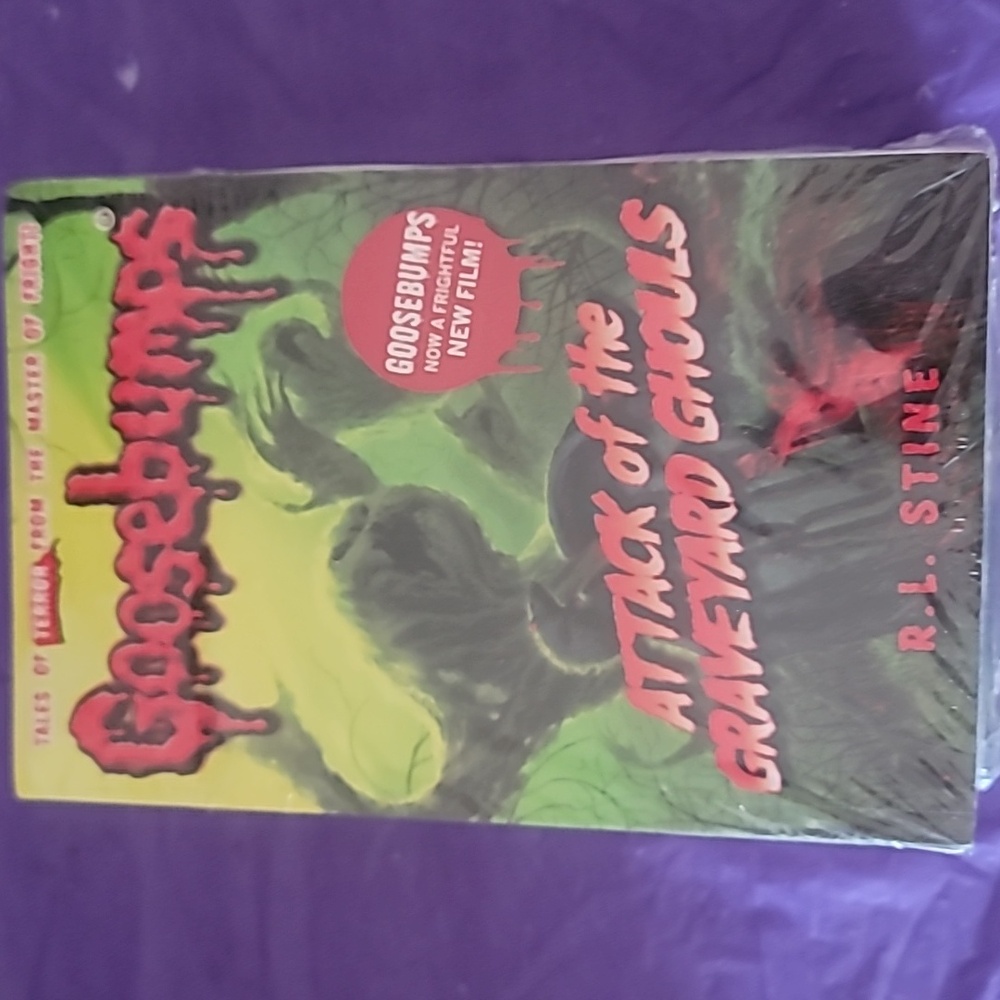 Goosebump Book BUNDLE 10 Books New